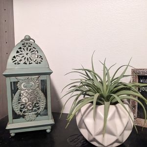 Antique Blue Owl Lantern